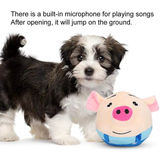 Bouncing Pig Toy
